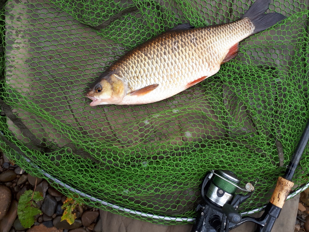 Barbel Crazy – Highs and Lows of a dedicated North West river angler