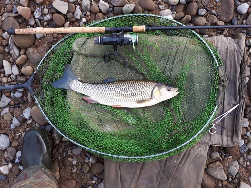 Barbel Crazy – Highs and Lows of a dedicated North West river angler